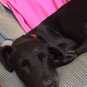 Meet your Posher, Katie